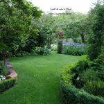 شركة لاند سكيب في الفجيرة