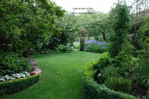 شركة لاند سكيب في الفجيرة